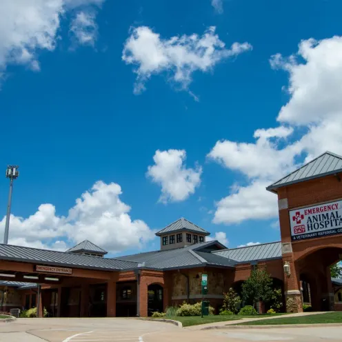 Emergency Animal Hospital of Collin County in Plano, Texas